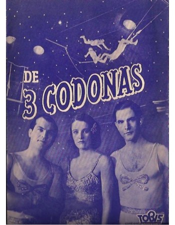 Die drei Codonas