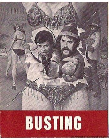 BUSTING