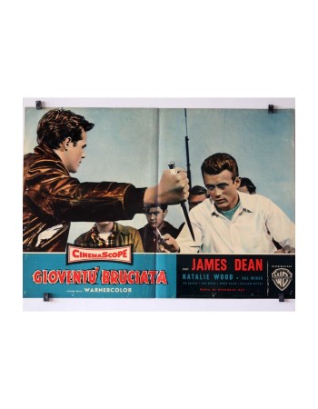 REBEL WITHOUT A CAUSE