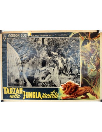 TARZANS HIDDEN JUNGLE
