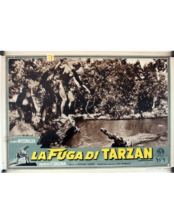 TARZAN ESCAPES