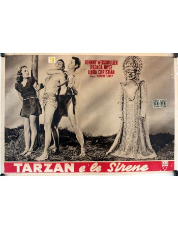 TARZAN AND THE MERMAIDS