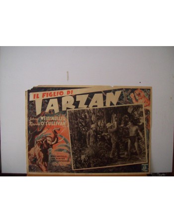 TARZAN FINDS A SON