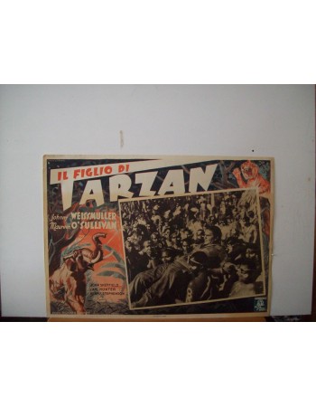TARZAN FINDS A SON