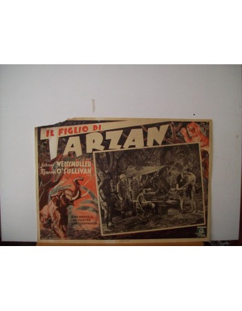 TARZAN FINDS A SON