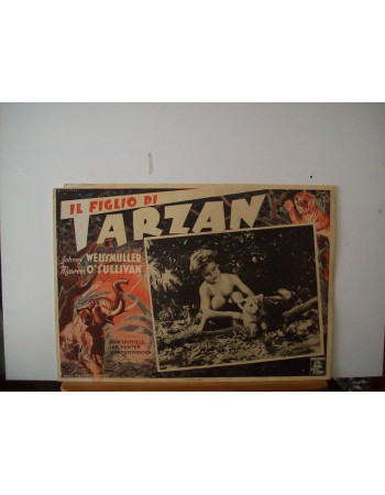 TARZAN FINDS A SON