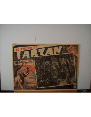 TARZAN FINDS A SON