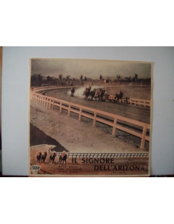 Arizona Thoroughbred