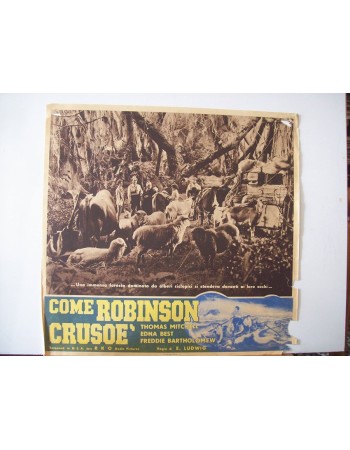 SWISS FAMILY ROBINSON