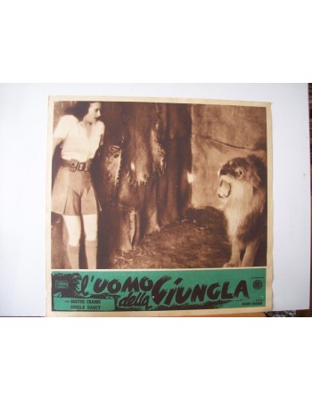 JUNGLE MAN