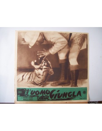 JUNGLE MAN