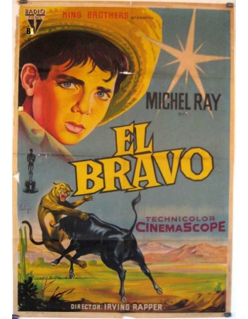 THE BRAVE ONE