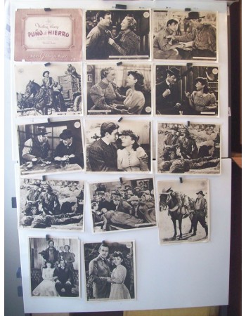 20 Mule Team