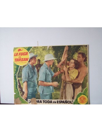 TARZAN ESCAPES