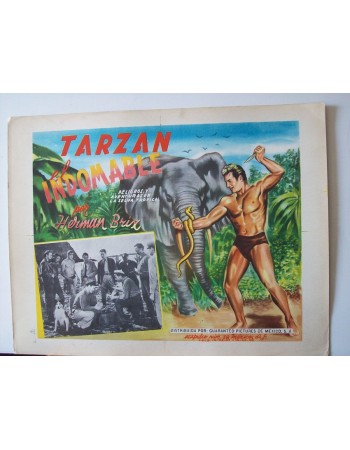 THE NEW ADVENTURES OF TARZAN