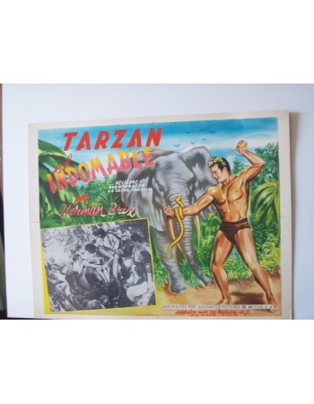 THE NEW ADVENTURES OF TARZAN