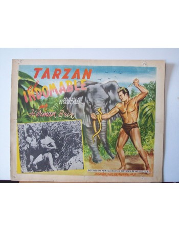 THE NEW ADVENTURES OF TARZAN