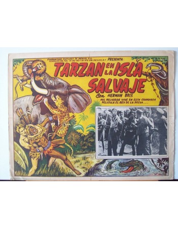 THE NEW ADVENTURES OF TARZAN