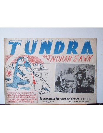 TUNDRA
