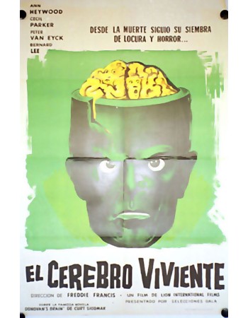 THE BRAIN
