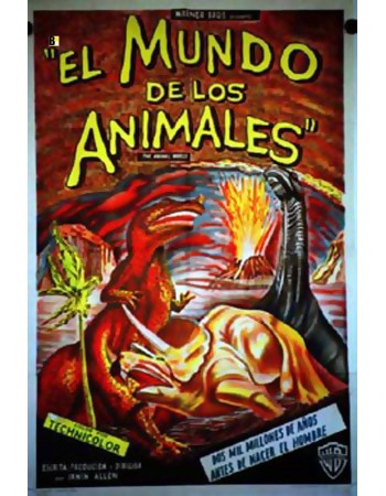 THE ANIMAL WORLD
