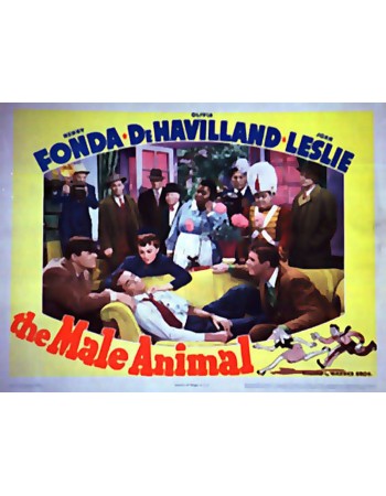 THE MALE ANIMAL