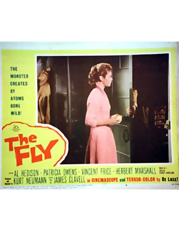 THE FLY