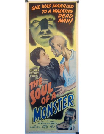 THE SOUL OF A MONSTER