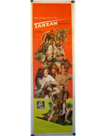 TARZAN THE APE MAN