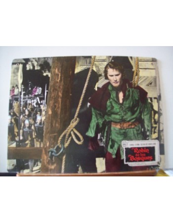 THE ADVENTURES OF ROBIN HOOD