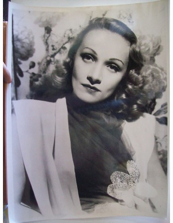 MARLENE DIETRICH