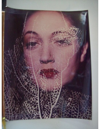 DOROTHY LAMOUR