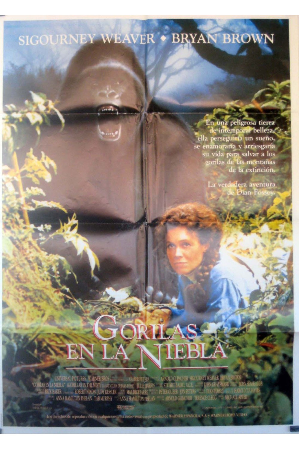 Gorillas in the Mist: The Story of Dian Fossey