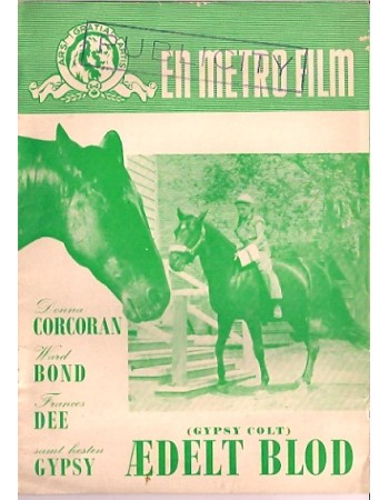 GYPSY COLT