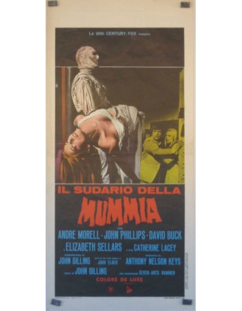 The Mummy's Shroud