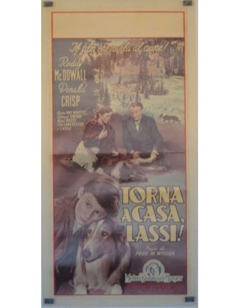Lassie Come Home