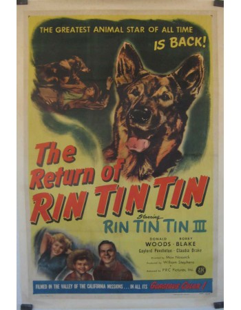 The Return of Rin Tin Tin