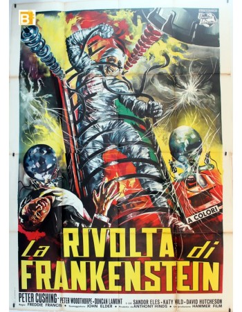 THE EVIL OF FRANKENSTEIN