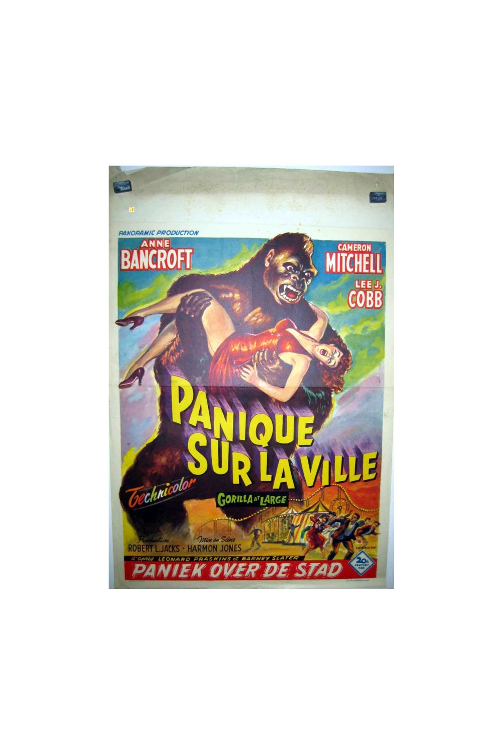 GORILLA AT LARGE