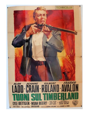 GUNS OF THE TIMBERLAND