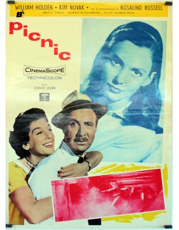 PICNIC