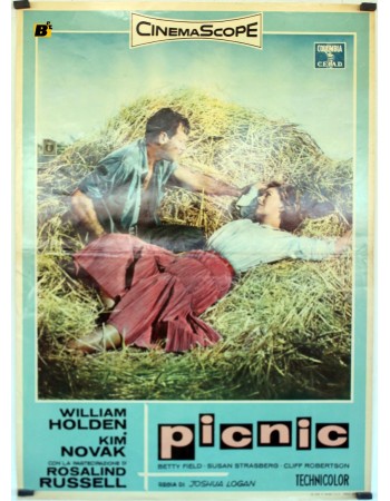 PICNIC
