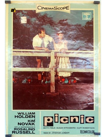 PICNIC
