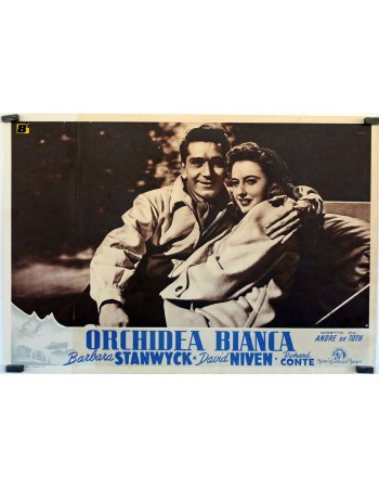 THE OTHER LOVE