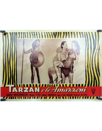 TARZAN AND THE AMAZONS