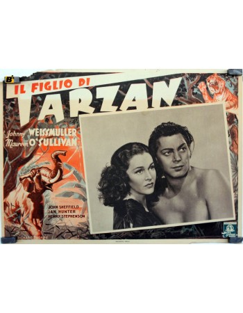TARZAN FINDS A SON
