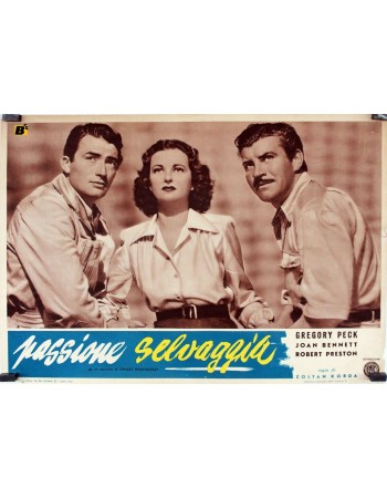 THE MACOMBER AFFAIR