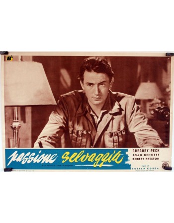 THE MACOMBER AFFAIR