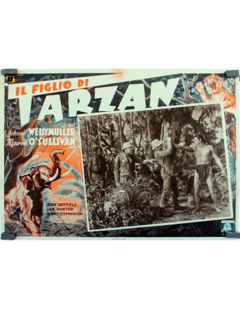 TARZAN FINDS A SON
