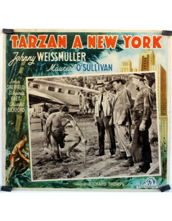 TARZAN'S NEW YORK ADVENTURE